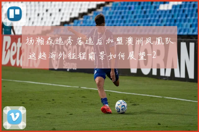 杨瀚森选秀落选后加盟澳洲凤凰队 这趟海外征程前景如何展望