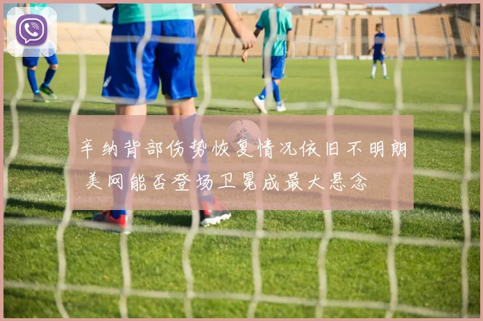 辛纳背部伤势恢复情况依旧不明朗 美网能否登场卫冕成最大悬念